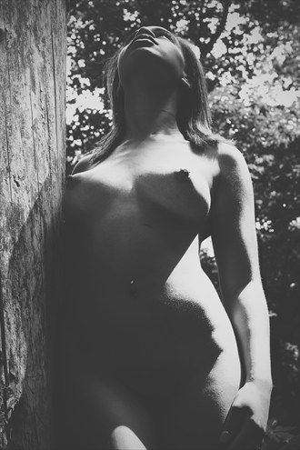 Basking Artistic Nude Artwork by Photographer Damany C Photography