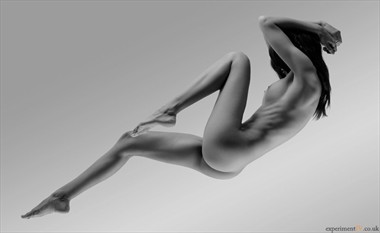 Beautiful Lines Artistic Nude Photo by Photographer Terry King