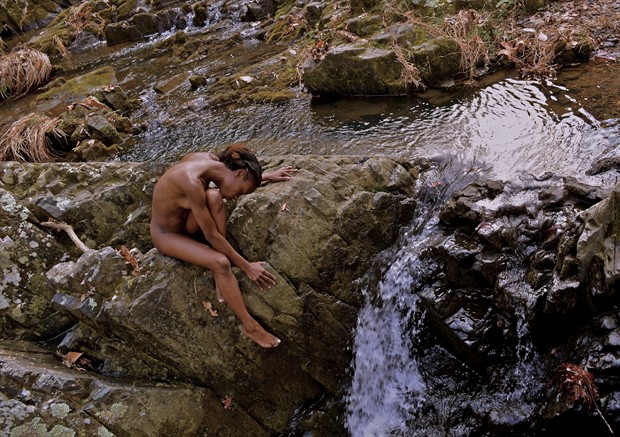 Beauty at the Falls Artistic Nude Photo by Photographer TroubadudeProduction