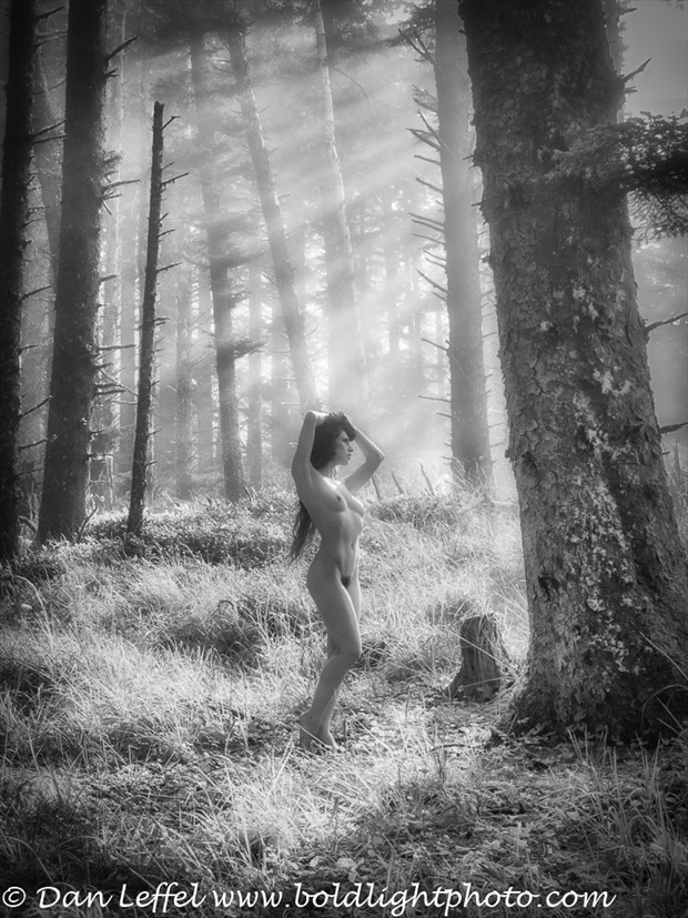 Beauty in the Forest Artistic Nude Photo by Photographer Danlhsb