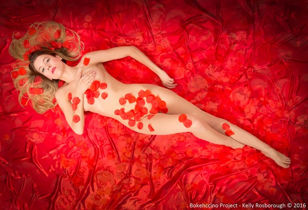 Beauty on red Implied Nude Photo by Photographer Bokehccino Project