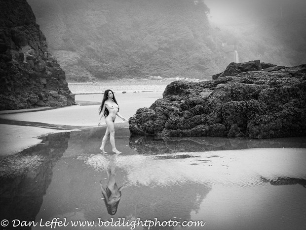 Beauty on the Beach Artistic Nude Photo by Photographer Danlhsb