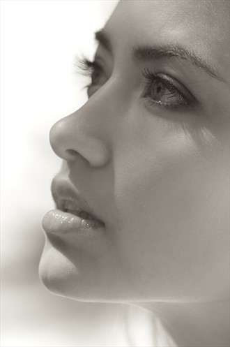 Beauty shot Portrait Photo by Photographer Laurie Jeffery