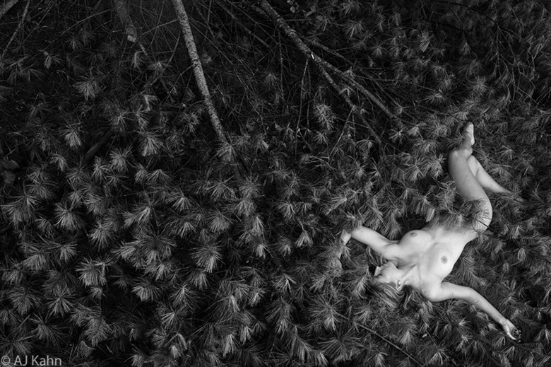 Bed of Boughs Artistic Nude Photo by Photographer AJ Kahn