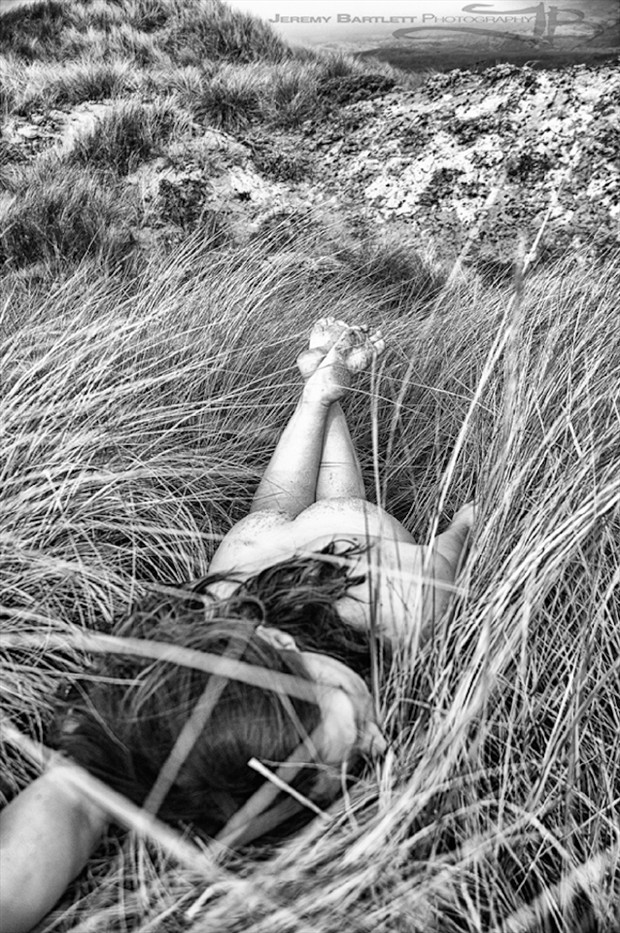 Bed of Reeds Artistic Nude Photo by Photographer Jeremy Bartlett