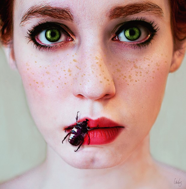 Beetle Horror Artwork by Photographer L%C3%ADdia Vives