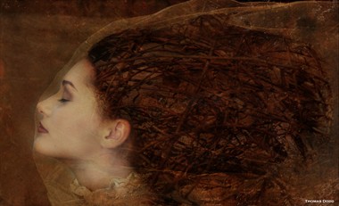 Behind the Veil Surreal Artwork by Photographer Thomas Dodd