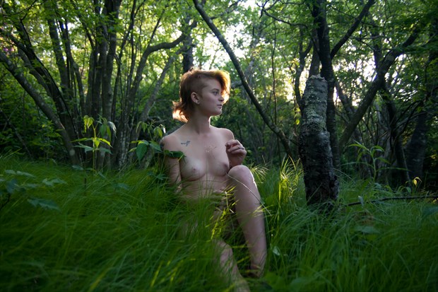 Beth in the grass Artistic Nude Photo by Photographer mikaelr