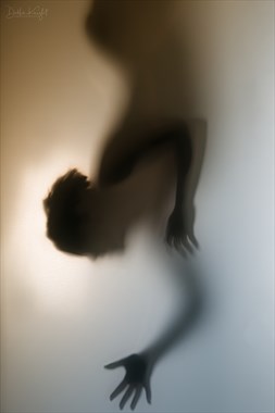 Beyond the Veil Artistic Nude Photo by Photographer DKnight