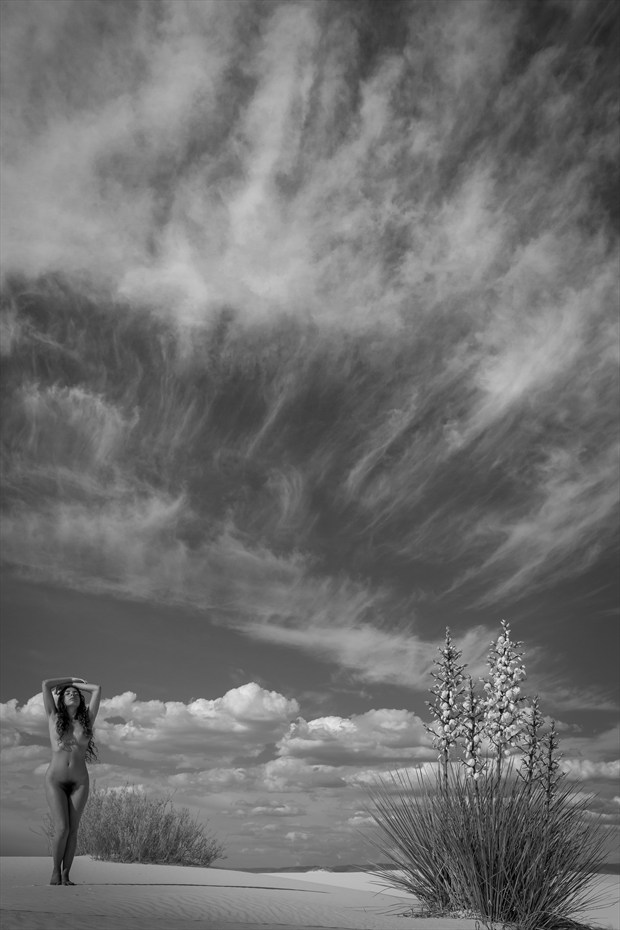 Big Sky Artistic Nude Photo by Photographer Inge Johnsson