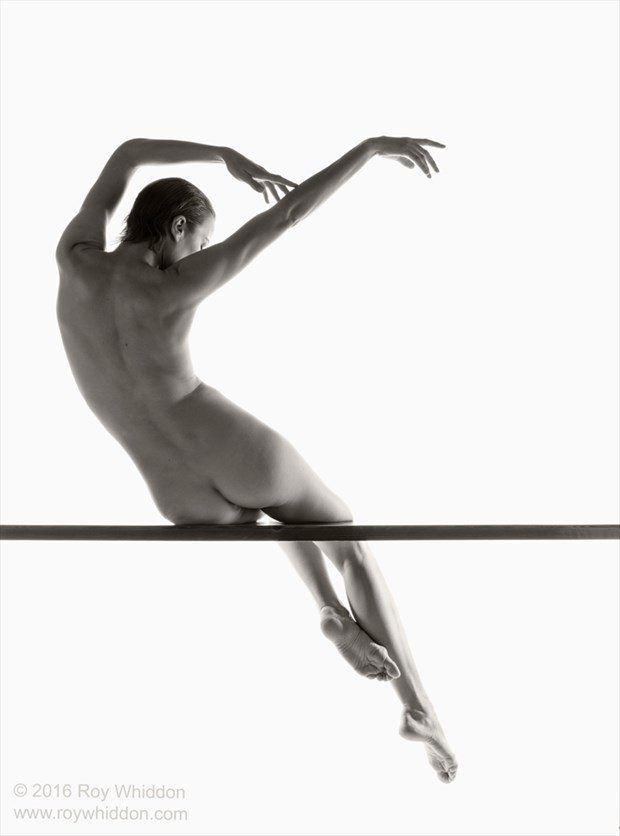 Bird on a Wire Artistic Nude Photo by Photographer Roy Whiddon