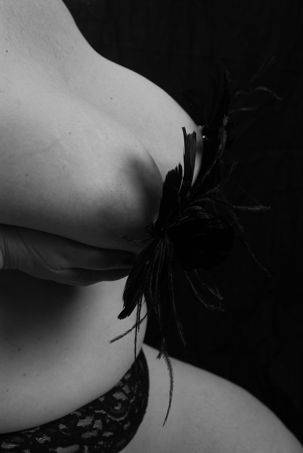 Black Feather Clips Artistic Nude Photo by Model Catherine Hamilton