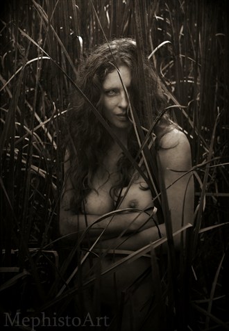 Black Water Hattie Artistic Nude Photo by Photographer MephistoArt