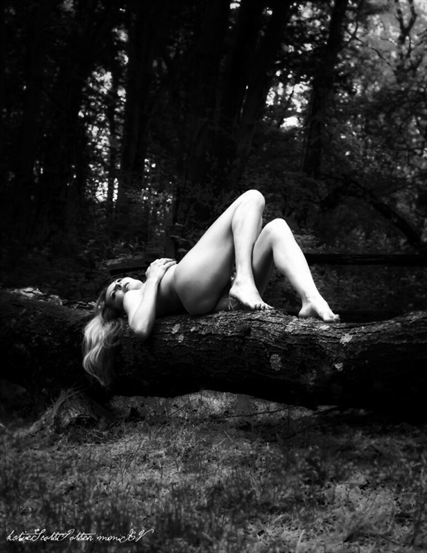Blend Artistic Nude Photo by Photographer Katie Potter