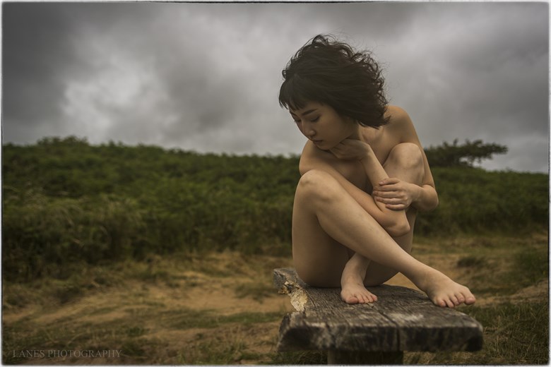 Blowing Through The Jasmine In My Mind Artistic Nude Photo by Photographer Lanes Photography
