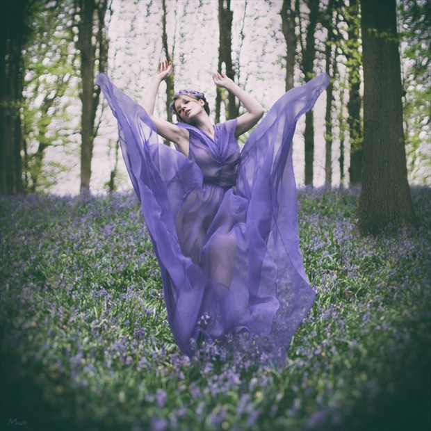 Bluebell Nature Photo by Model Muse