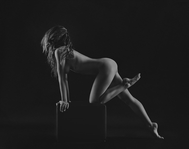 Body Studio XII Artistic Nude Photo by Photographer alevega