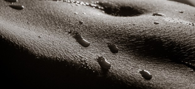 Bodyscape, abdomen, female Abstract Photo by Photographer AOPhotography