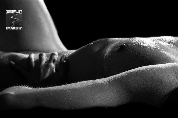 Bodyscape %232 Artistic Nude Photo by Photographer ShenValley Imagery