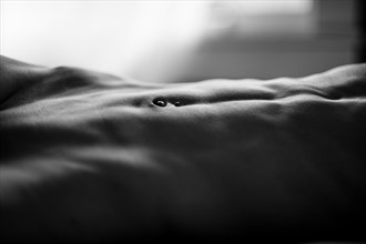 Bodyscape  Artistic Nude Photo by Photographer StephenJC