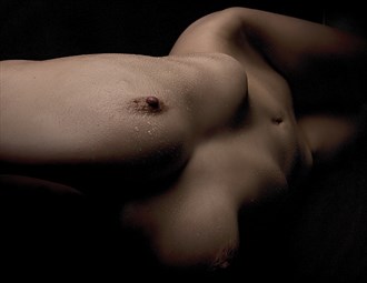 Bodyscape Artistic Nude Photo by Photographer Brian Lewicki