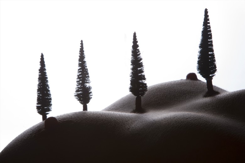 Bodyscape Artistic Nude Photo by Photographer Filiberto Mariani