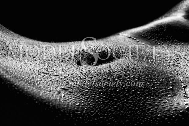 Bodyscape Artistic Nude Photo by Photographer Foto Finis (Mischa)
