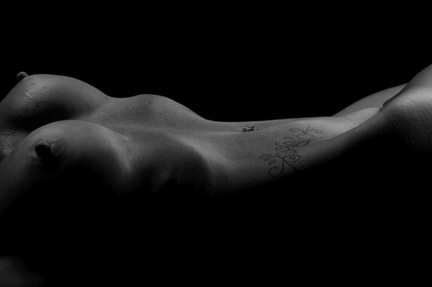 Bodyscapes  Artistic Nude Artwork by Model Phoenix Starr