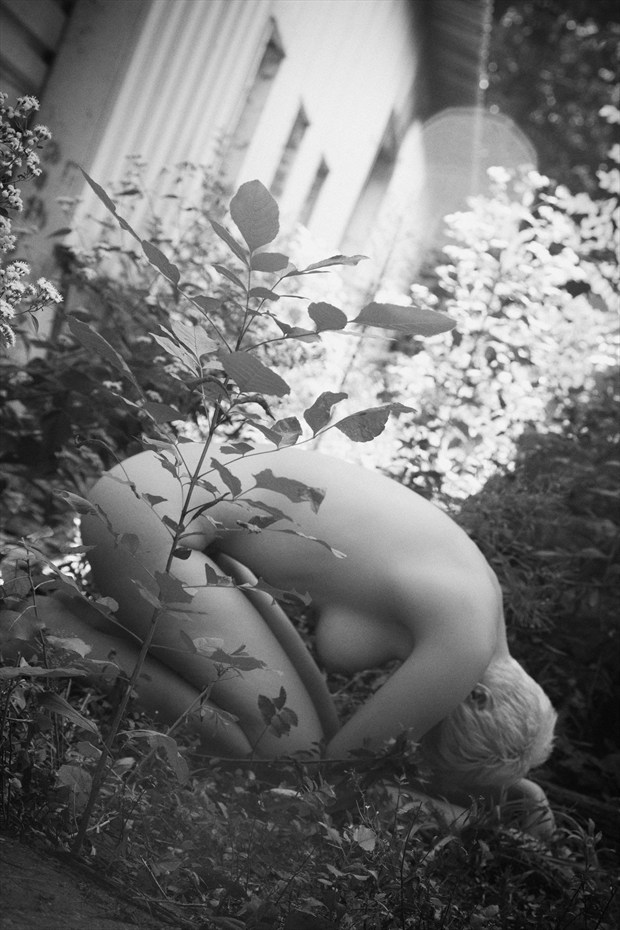 Bowed Artistic Nude Photo by Photographer Openshaw Photo