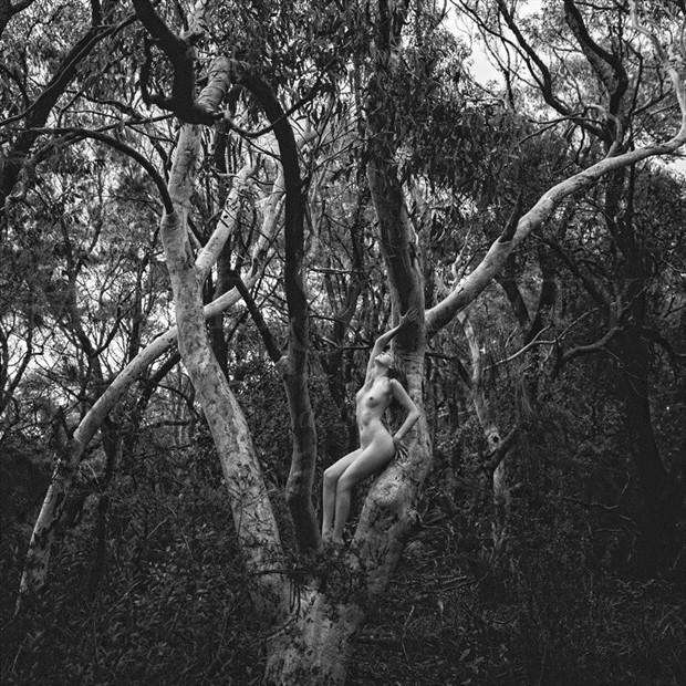 Branches Artistic Nude Photo by Model Sylph Sia