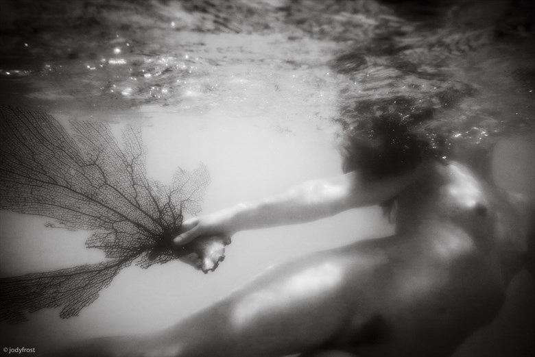 Brandi with Sea Fan Artistic Nude Photo by Photographer jody frost