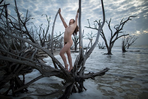 Breaking Free Artistic Nude Photo by Photographer Staunton Photo