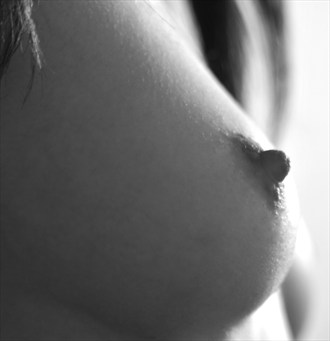 Breast 101 Artistic Nude Photo by Photographer Chip Shots