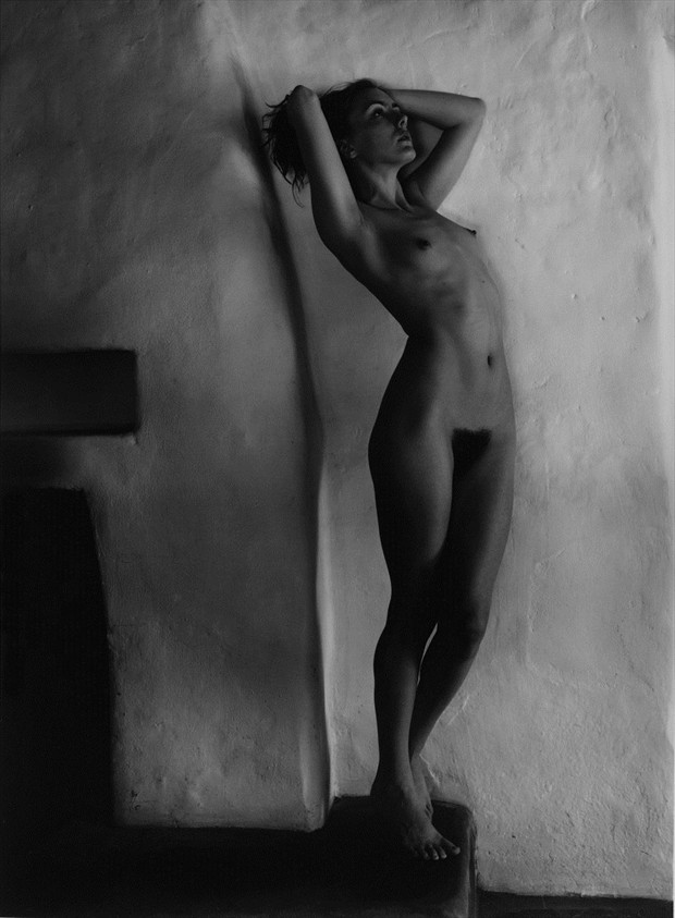 Brooke Artistic Nude Photo by Photographer Joel Brown