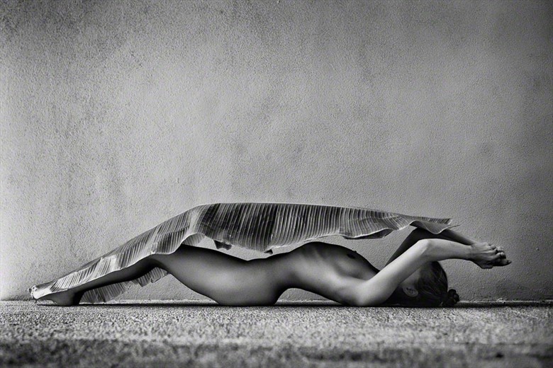 Brooke and the Banana Leaf Artistic Nude Photo by Photographer BillySheahan