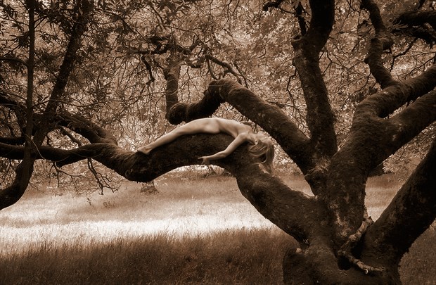 Buckeye Recline Nature Photo by Photographer TreeGirl