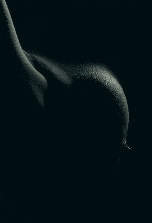 Bud Artistic Nude Photo by Photographer Andy G Williams
