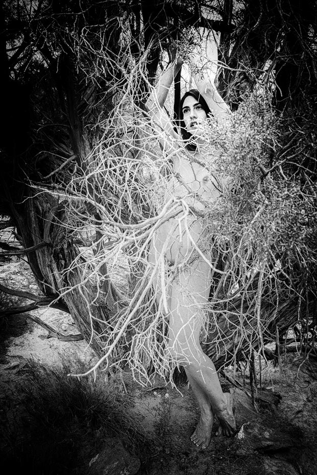 Burning Bush Artistic Nude Photo by Photographer MickeySchwartz