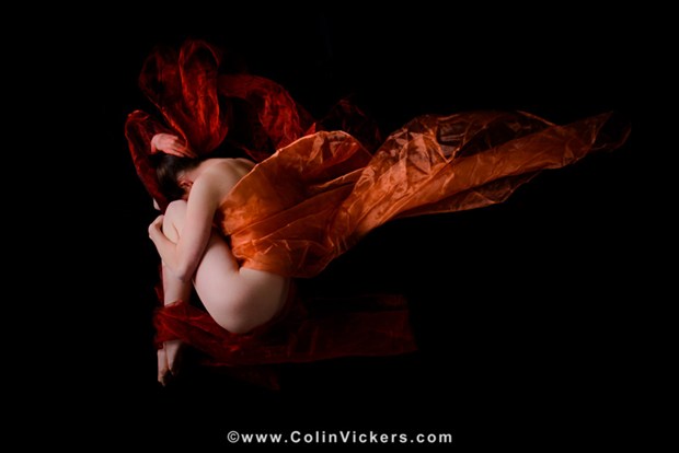 Butterfly Artistic Nude Artwork by Photographer Dr Colin Vickers