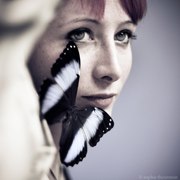 Butterfly Sensual Photo by Photographer sophie thouvenin