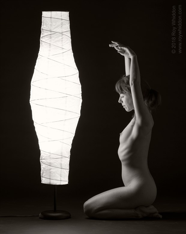By the Lamp Light I Artistic Nude Photo by Photographer Roy Whiddon