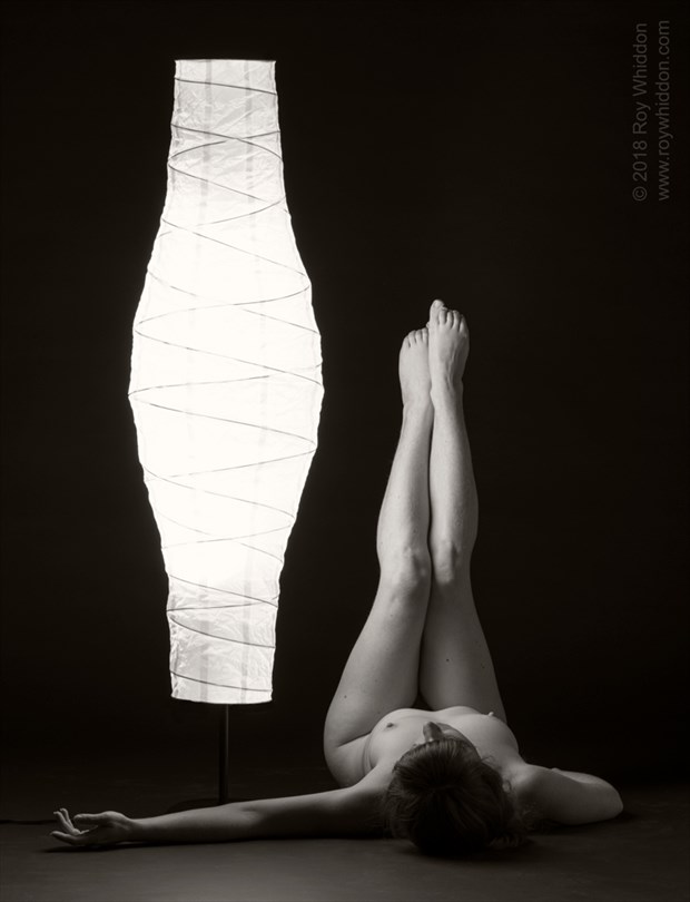By the Lamp Light II Artistic Nude Photo by Photographer Roy Whiddon