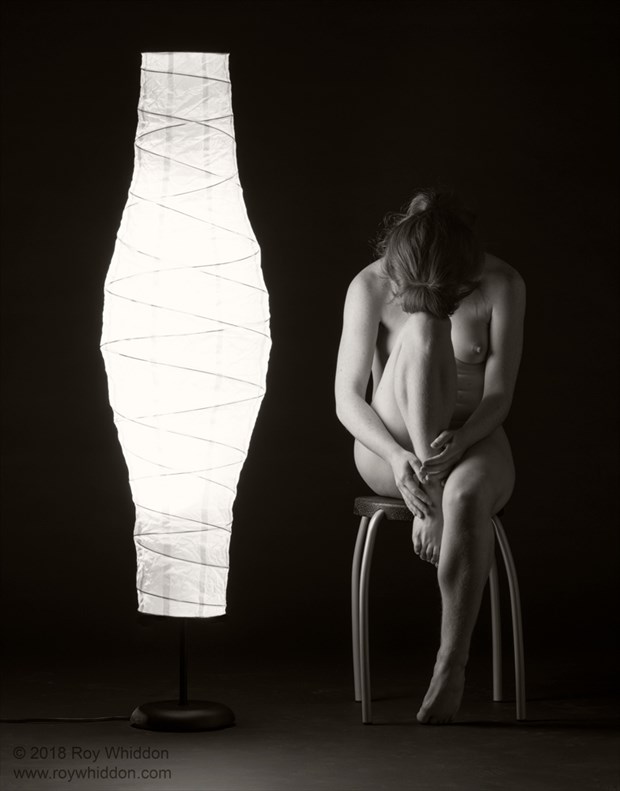 By the Lamp Light III Artistic Nude Photo by Photographer Roy Whiddon