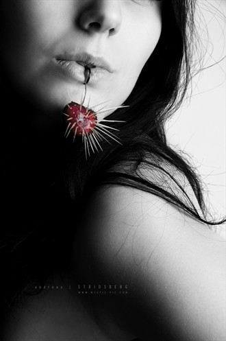 Cacti cherry Surreal Photo by Model Moijra