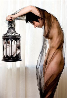 Cage Artistic Nude Photo by Photographer Mariah Carle