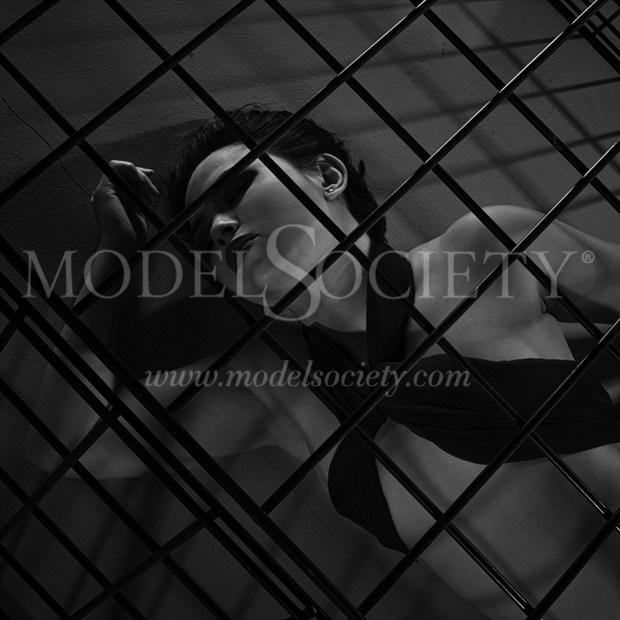 Caged 005 Glamour Photo by Photographer Michael Lee