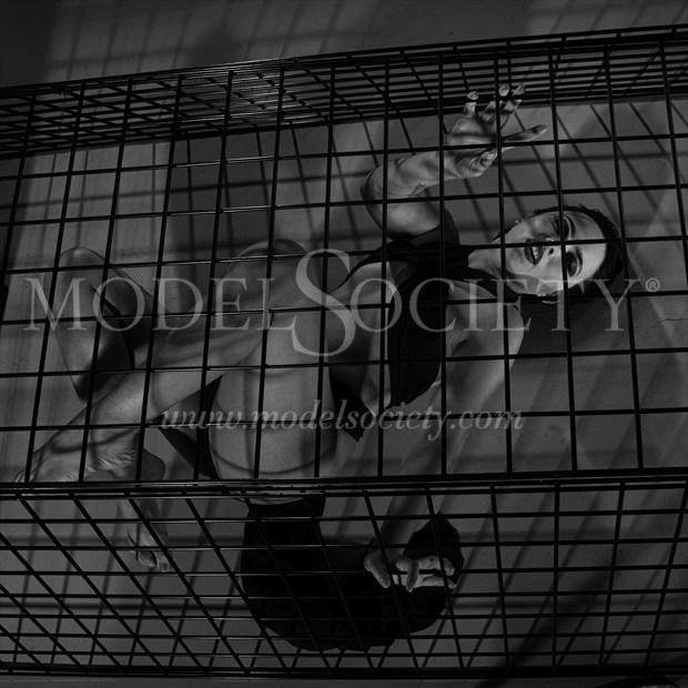 Caged 007 Glamour Photo by Photographer Michael Lee