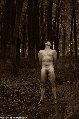Can't See The Wood For The Trees Artistic Nude Photo by Photographer MissPenelopePics
