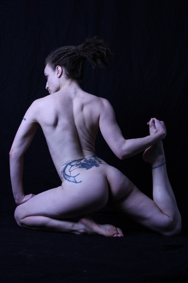 Can you do this Artistic Nude Artwork by Photographer Lavaughn