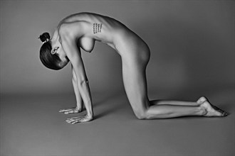 Caprice 01 Artistic Nude Photo by Photographer Lucas Toma